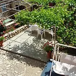 Roses 4*