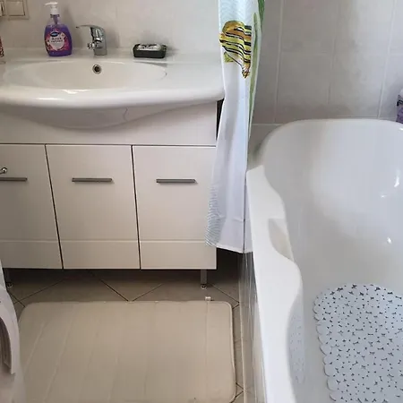 Roses Guest house