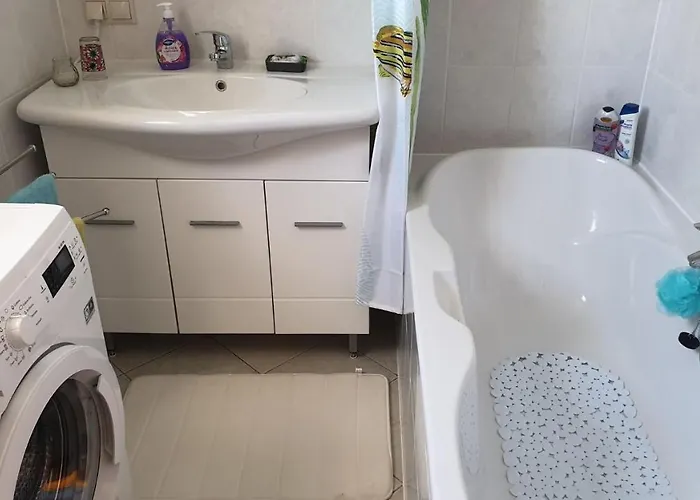 Roses Guest house